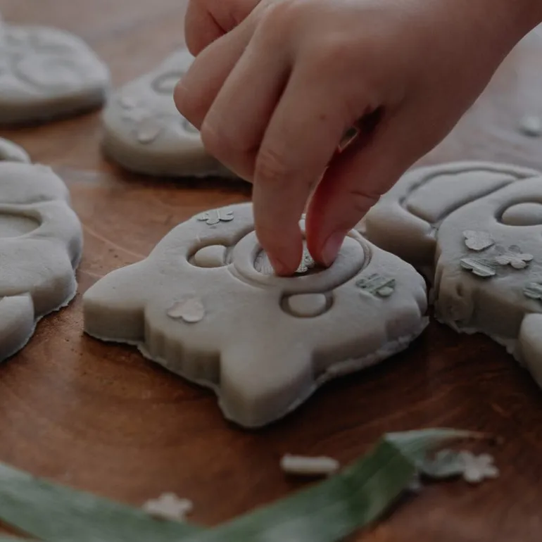 Australian Animal Eco Cutters - Set Of 5