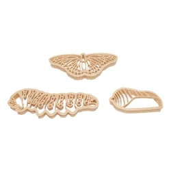 Butterfly Life Cycle Eco Cutter - Set Of 3