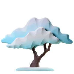 Japanese Winter Maple Tree - Blue