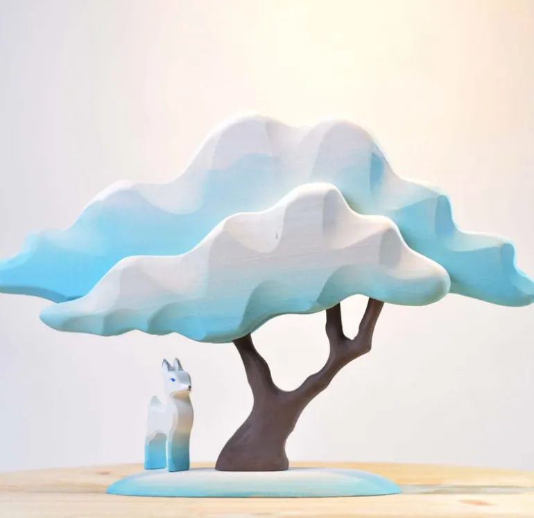 Japanese Winter Maple Tree - Blue