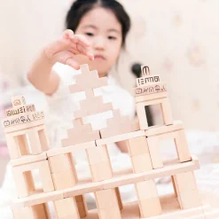 Large Wooden Building Blocks - Maya Civilisation