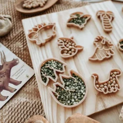 Mini Dinosaur Eco Cutters - Set Of 8