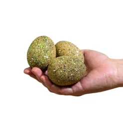 Wooden Ankylosaurus Eggs