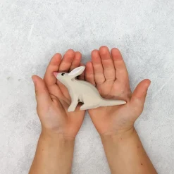 Wooden Bilby - Stargazing