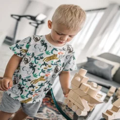 Wooden Building Blocks - Lighty