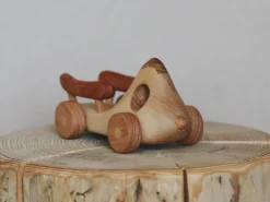 Wooden Car - Overachiever
