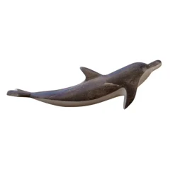 Wooden Dolphin