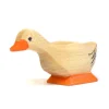 Wooden Duck - Curious