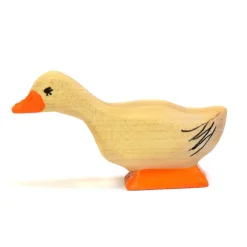 Wooden Duck - Curious