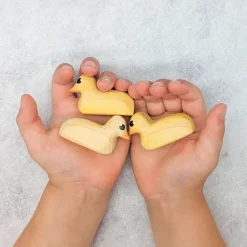 Wooden Duckling
