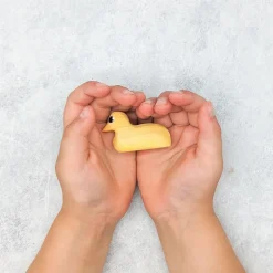 Wooden Duckling