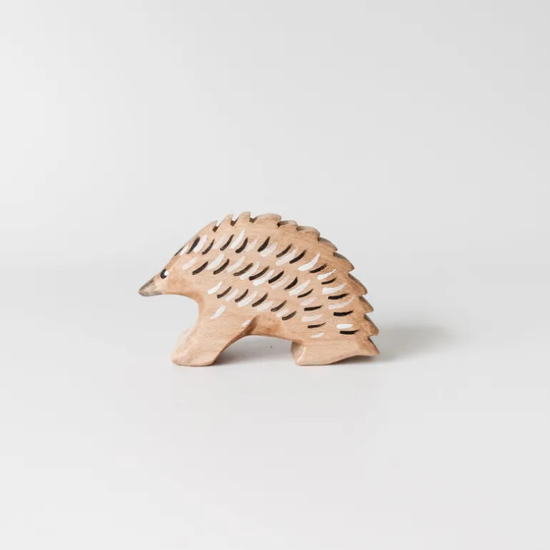 Wooden Echidna