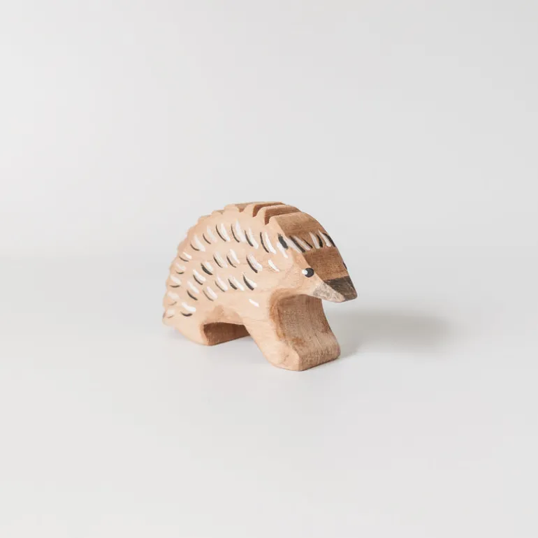 Wooden Echidna