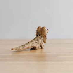 Wooden Frill Neck Lizard