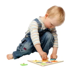 Wooden Geometric Shape Puzzle