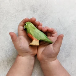 Wooden King Parrot - Female
