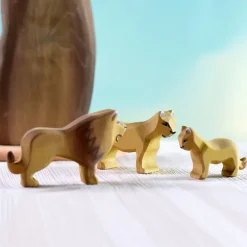 Wooden Lion Cub