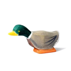 Wooden Mallard Duck - Curious