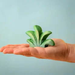 Wooden Mountain Bush