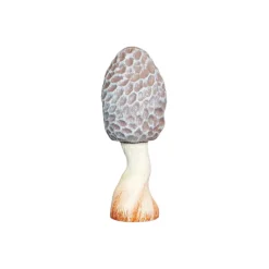 Wooden Mushroom - Morel