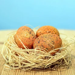 Wooden Parasaurolophus Eggs