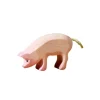 Wooden Piglet - Eating