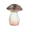 Wooden Porcini Mushroom