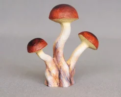 Wooden Porcini Mushrooms