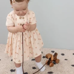 Wooden Pull Along Dog