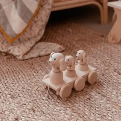 Wooden Pull Along Dog Family