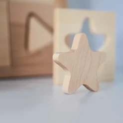 Wooden Sorting Puzzle - Geometrica