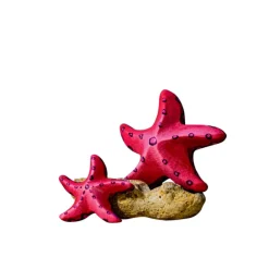 Wooden Starfish Set - Red