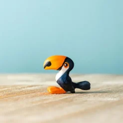 Wooden Toucan Chick