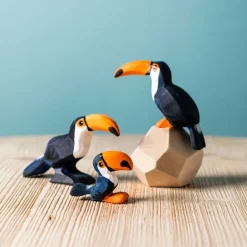 Wooden Toucan Chick