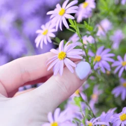 You're Amazing Plantable Greeting Card